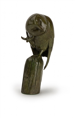 Barn Owl by Patricia Northcroft Barn Owl by Patricia Northcroft