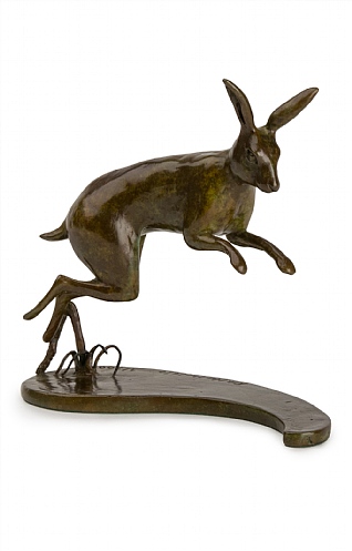 Hare by Patricia Northcroft