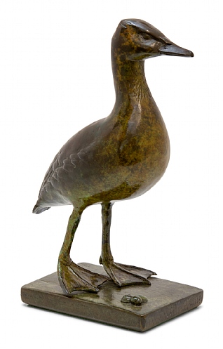 Whistling Duck by Patricia Northcroft