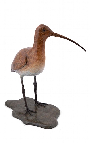 Curlew by Eddie Hallam
