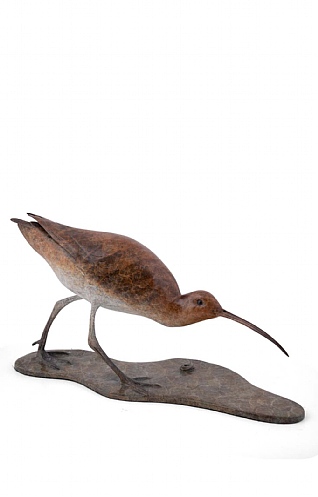 Curlew MKII by Eddie Hallam