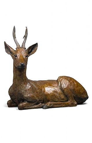 Sitting Roe Buck by Jenna Gearing