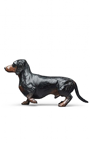 Dachshund by Jenna Gearing