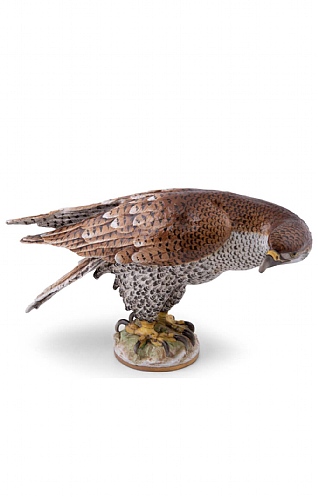 Ludwigsburg Porcelain Sparrowhawk