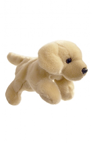 Animal Puppet
