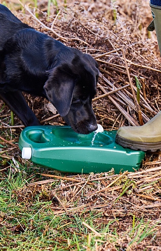 Travel Dog Bowl