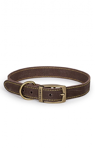 Leather Dog Collar