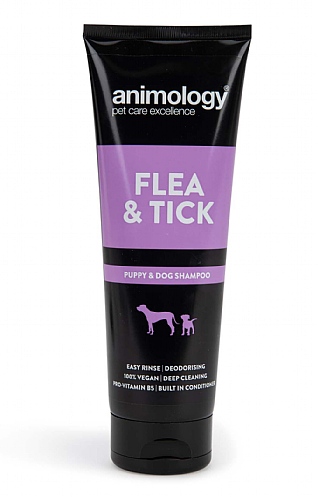 Animology Shampoo