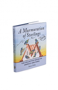 A Murmuration of Starling by Steve Palin A Murmuration of Starling by Steve Palin