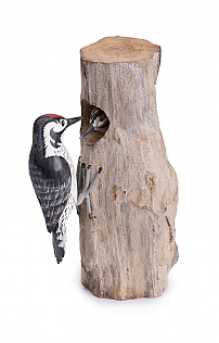 Hand Carved Lesser Spotted Woodpecker