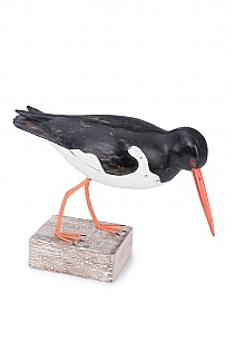 Hand Carved Oystercatcher Head Down