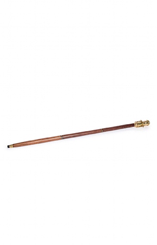 Walking Stick