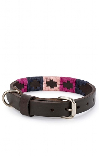 Argentinean Dog Collar