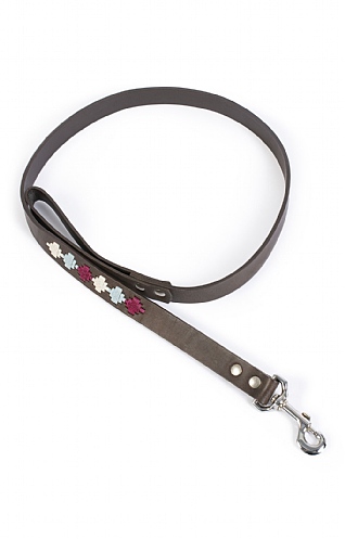 Argentinean Dog Lead Argentinean Dog Lead