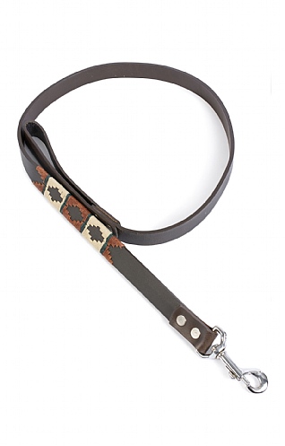 Argentinean Dog Lead