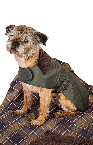 barbour dog coat xl