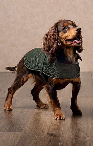 Barbour Quilted Dog Coat