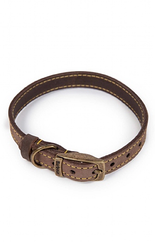 leather dog collar with bow