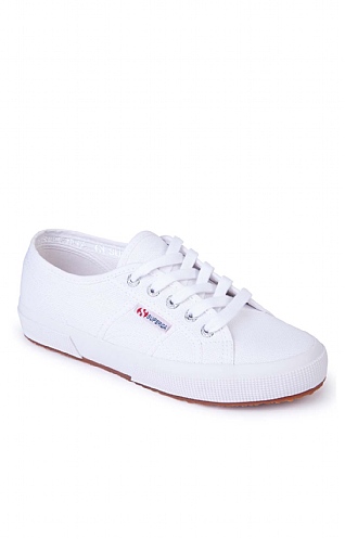 Canvas Trainer