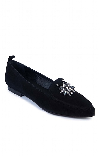 Bee Suede Pointed Loafer