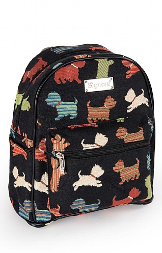 Daypack
