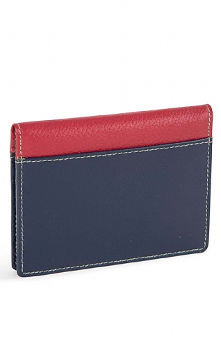 Credit Card Holder