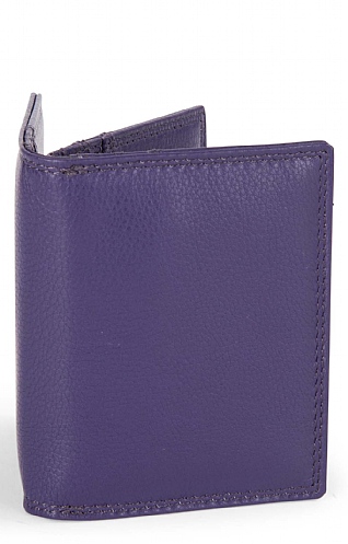Credit Card Holder