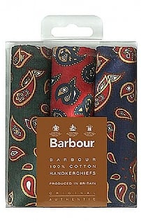 Barbour Paisley Handkerchiefs