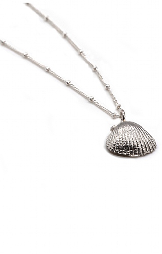 Dainty London Cornish Seashell Necklace