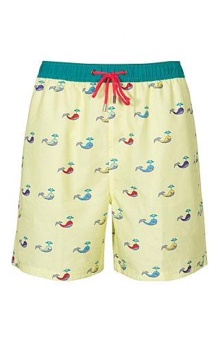 Swimming Shorts