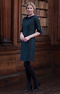 Butterfly Collar Dress