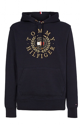 Tommy hilfiger icon embroidered best sale hoodie