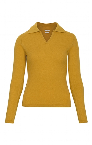 Ladies Cashmere Shirt Neck